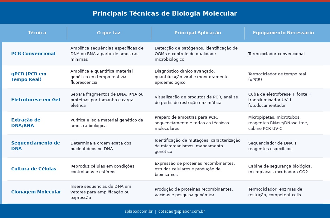 O que é Biologia Molecular? Entenda os fundamentos
