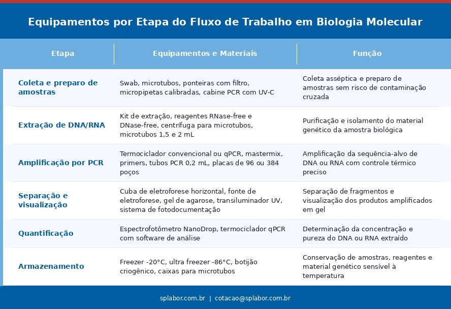 O que é Biologia Molecular? Entenda os fundamentos