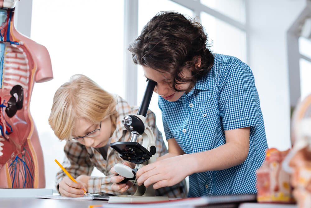 O que devo saber sobre Montar um Laboratório Escolar.