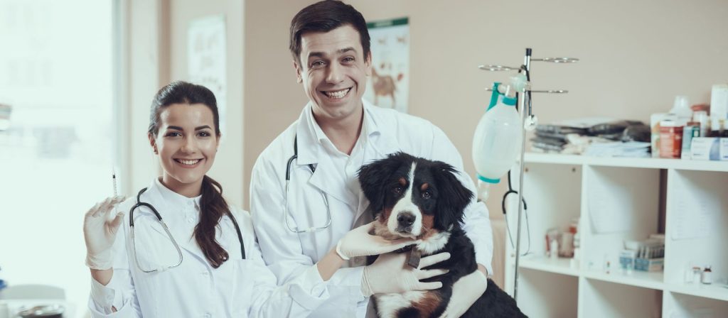 Autoclave veterinária (1080 × 1980 px) (1600 × 700 px)