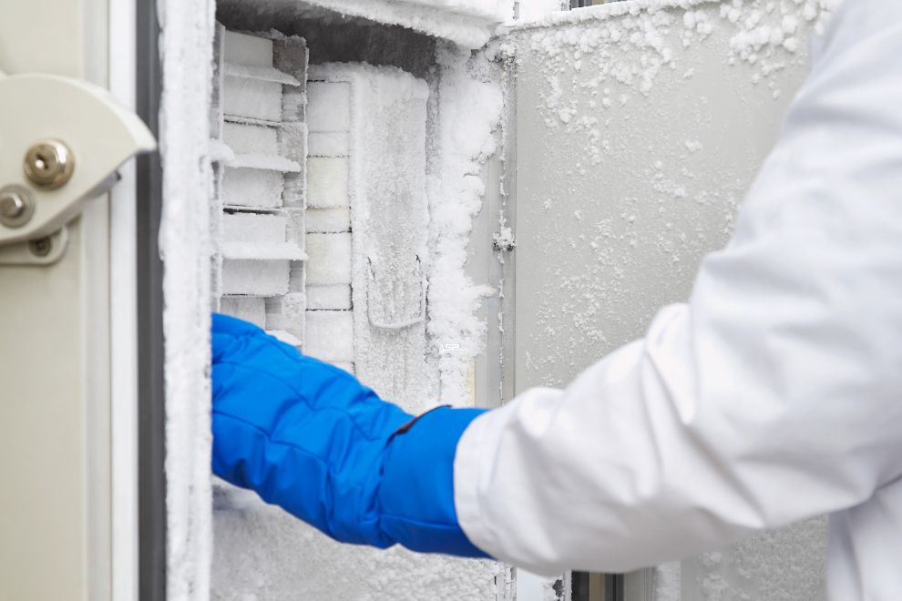 Ultra-freezer -86°C: Como Funciona e Quando Usar