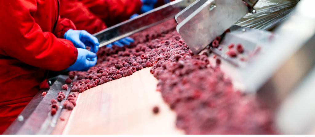 biofilme bacteriano