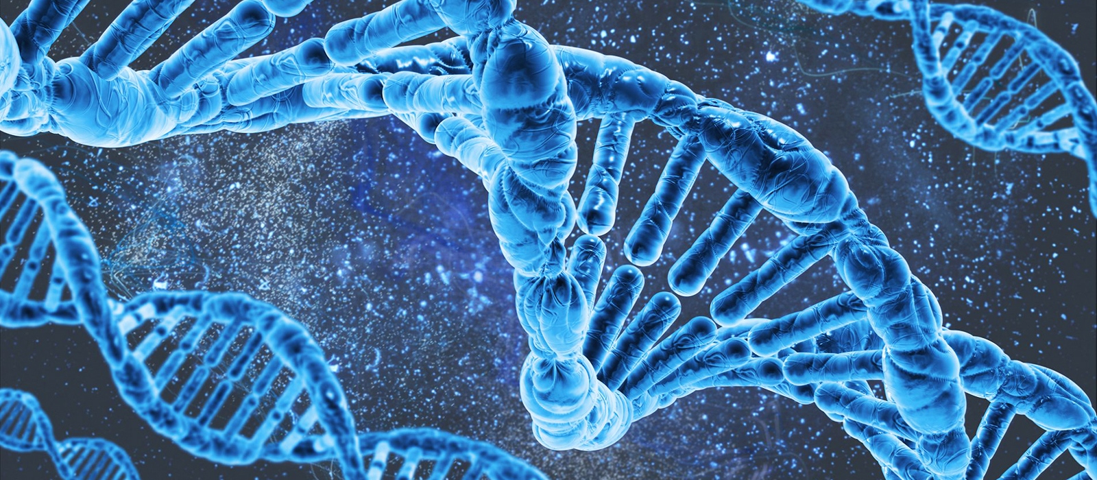 A Importância Vital das Boas Práticas na Biologia Molecular