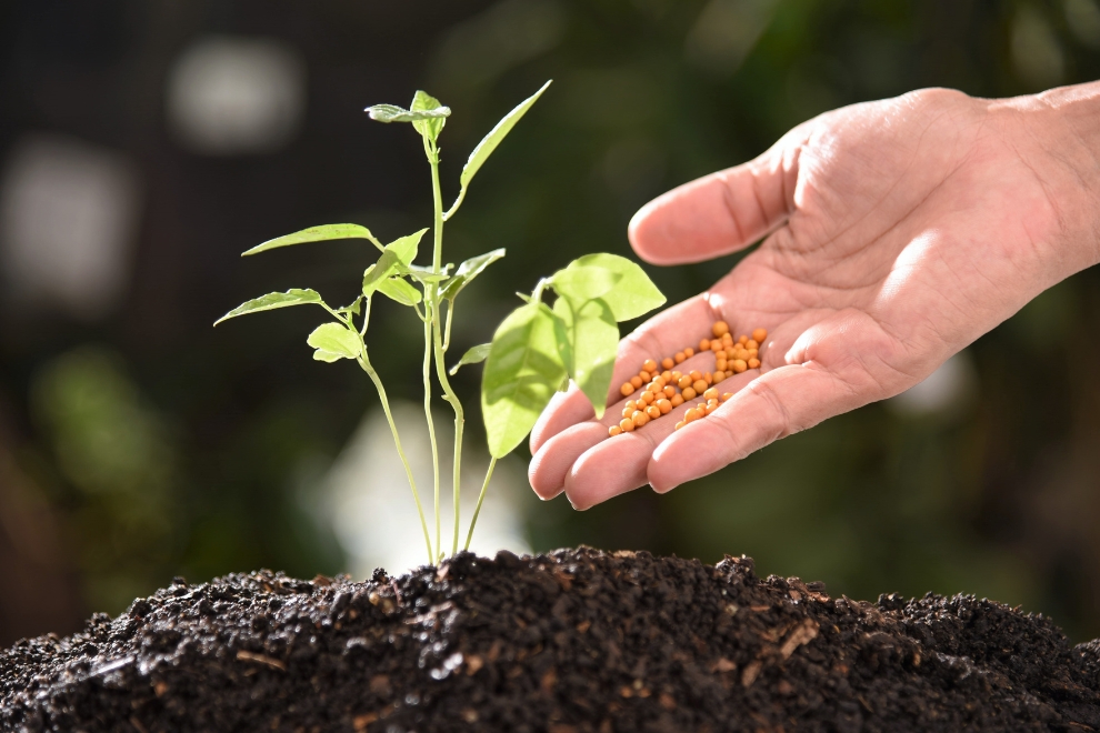 Análise de NPK em Fertilizantes: Guia Técnico Completo