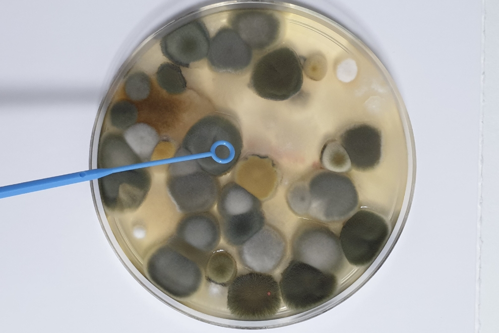 Como evitar contaminação cruzada com agitador vortex