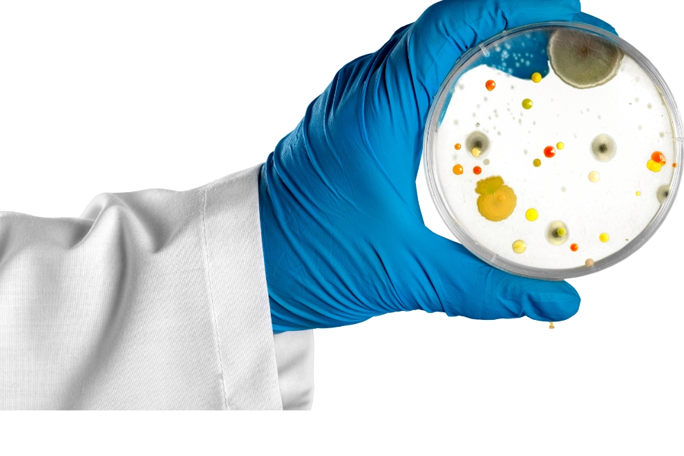 Atualizações da ISO 7218: Impactos nas análises de alimentos