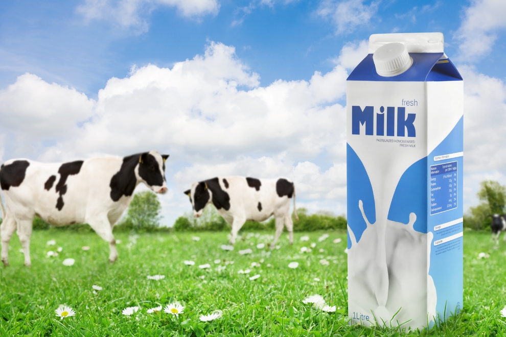 Como Avaliar a Estabilidade de Produtos Lácteos