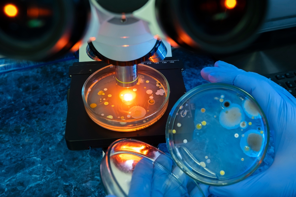 Laboratório físico-químico x microbiológico: diferenças